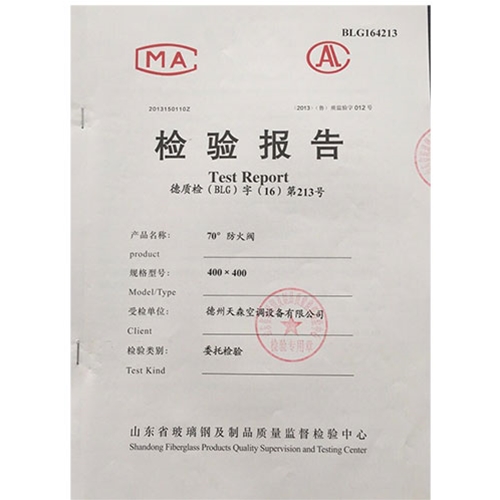 检查报告