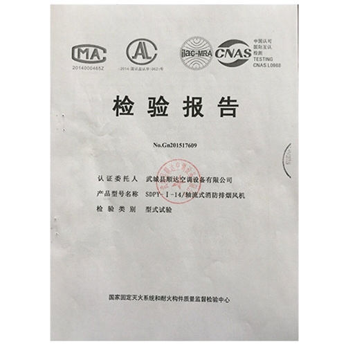 检查报告